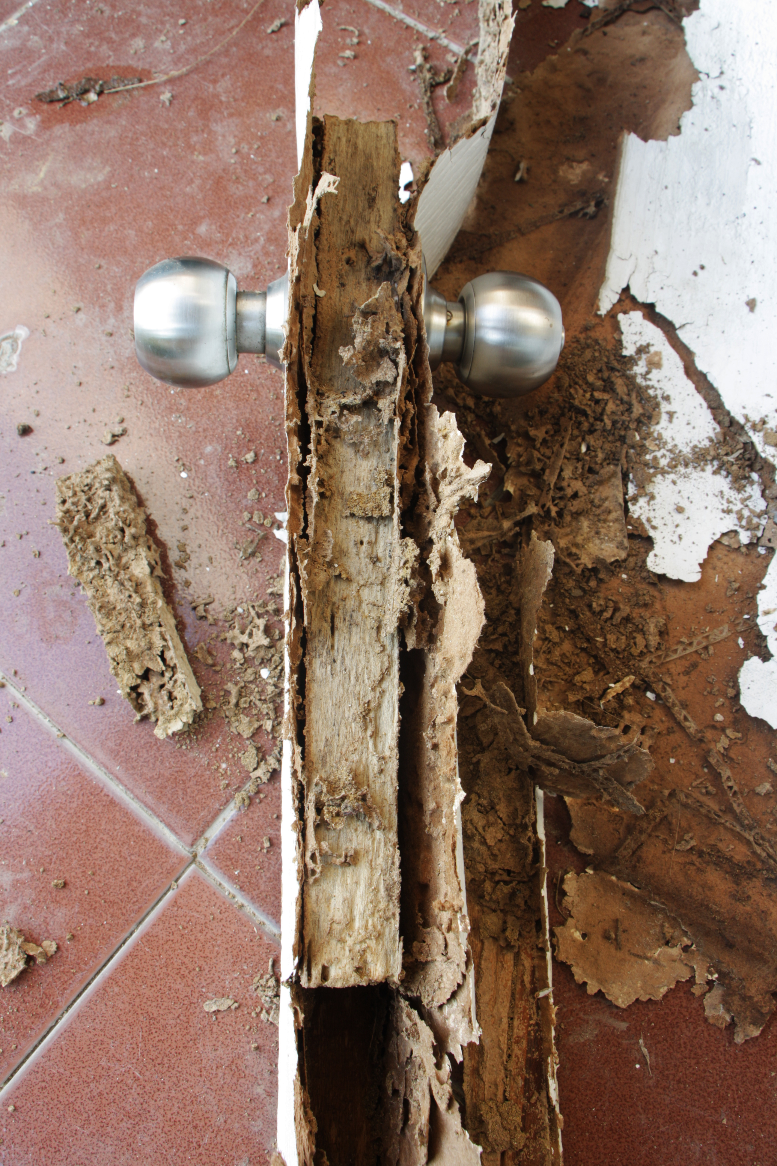 TERM-Seal Termite Management Systems Certified Australian